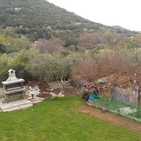 Martha'S Villa Nea Iraklitsa 외부 사진