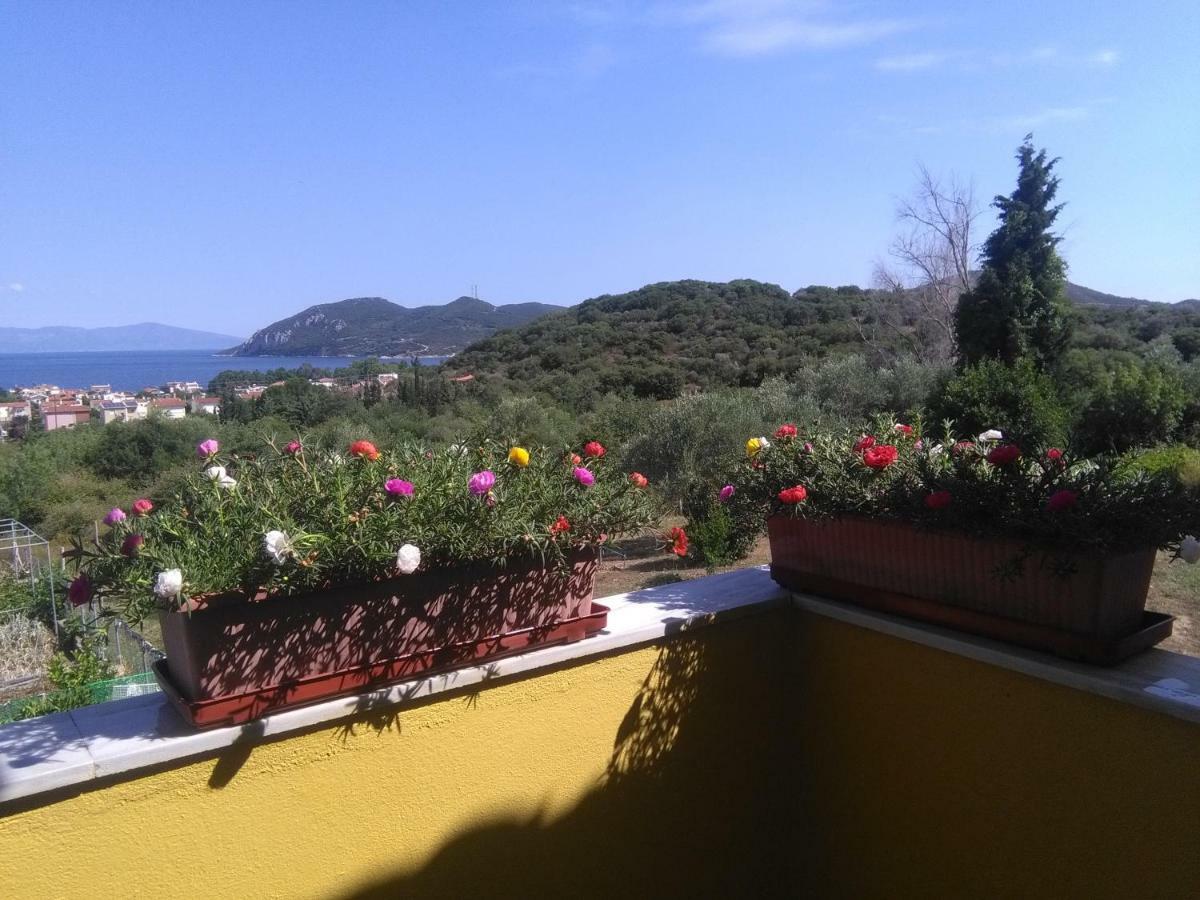 Martha'S Villa Nea Iraklitsa 외부 사진